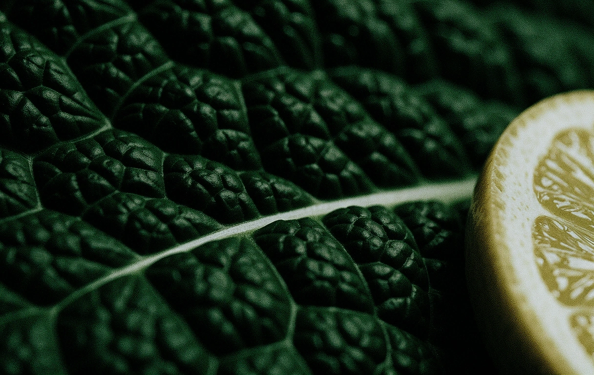 Culinaire textuur